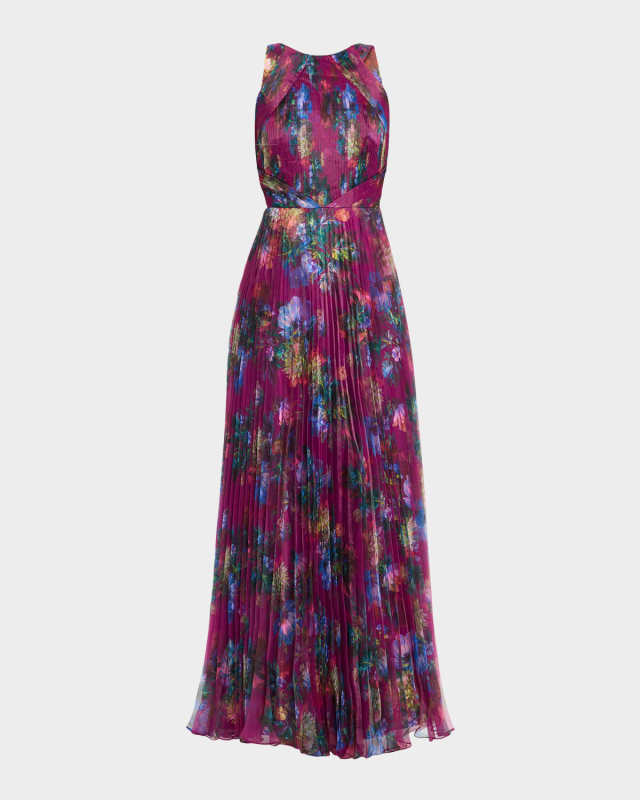 Naveen Pleated Floral-Print Organza Gown